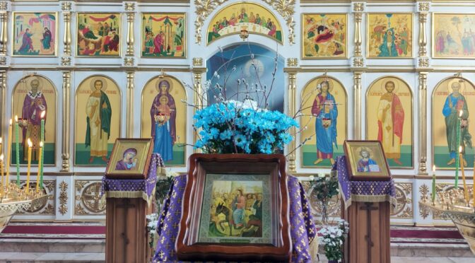 ОСАННА СЫНУ ДАВИДОВУ